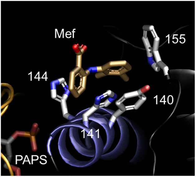 Fig. 6.