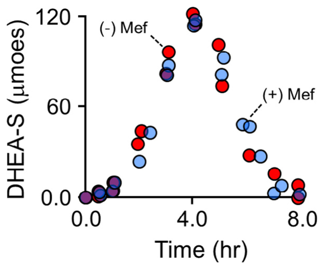 Fig. 7.