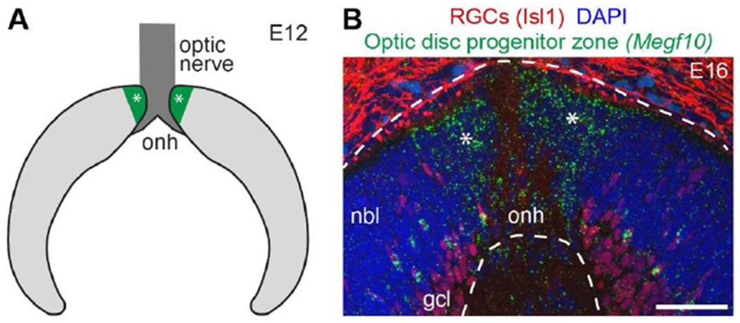 Figure 3: