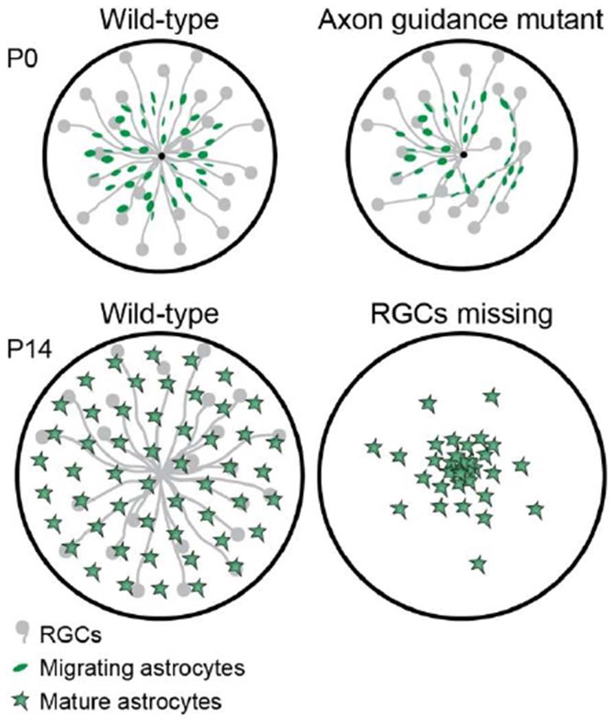 Figure 5: