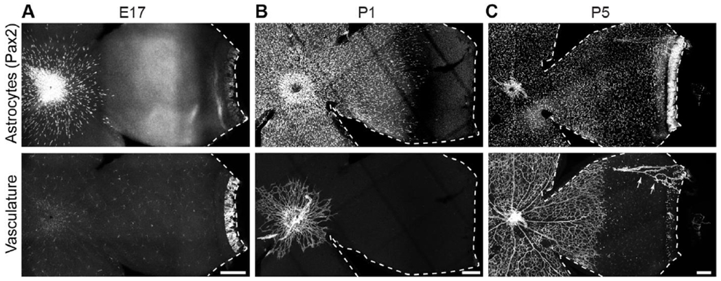 Figure 2: