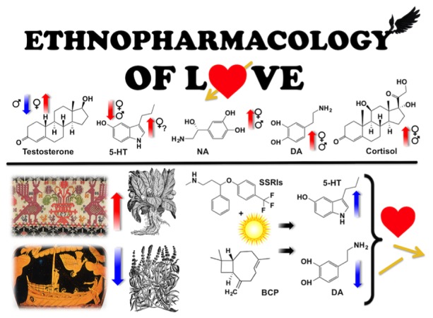 GRAPHICAL ABSTRACT