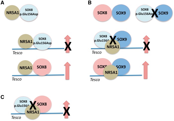 Figure 7.