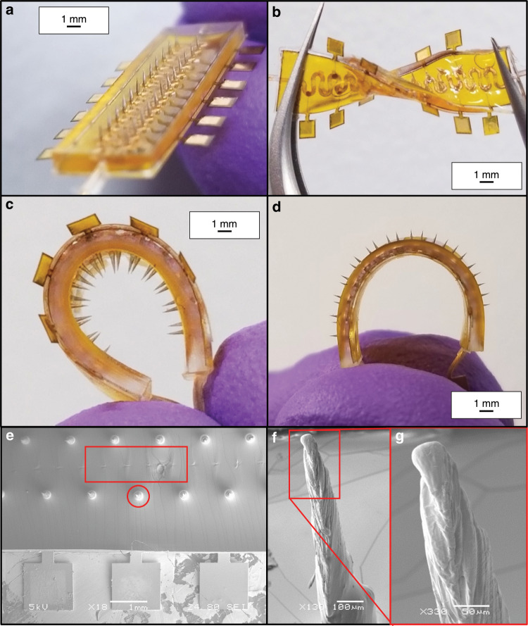 Fig. 7