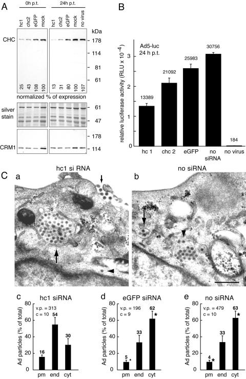 FIG. 5.