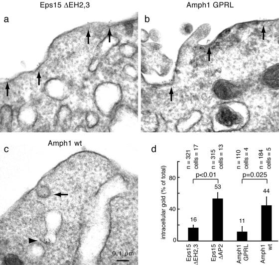 FIG. 7.