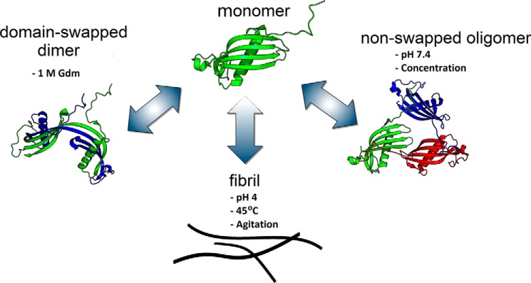 Figure 10.