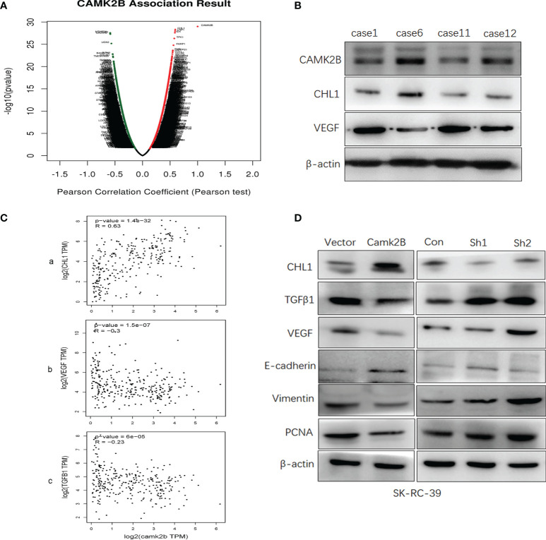 Figure 6