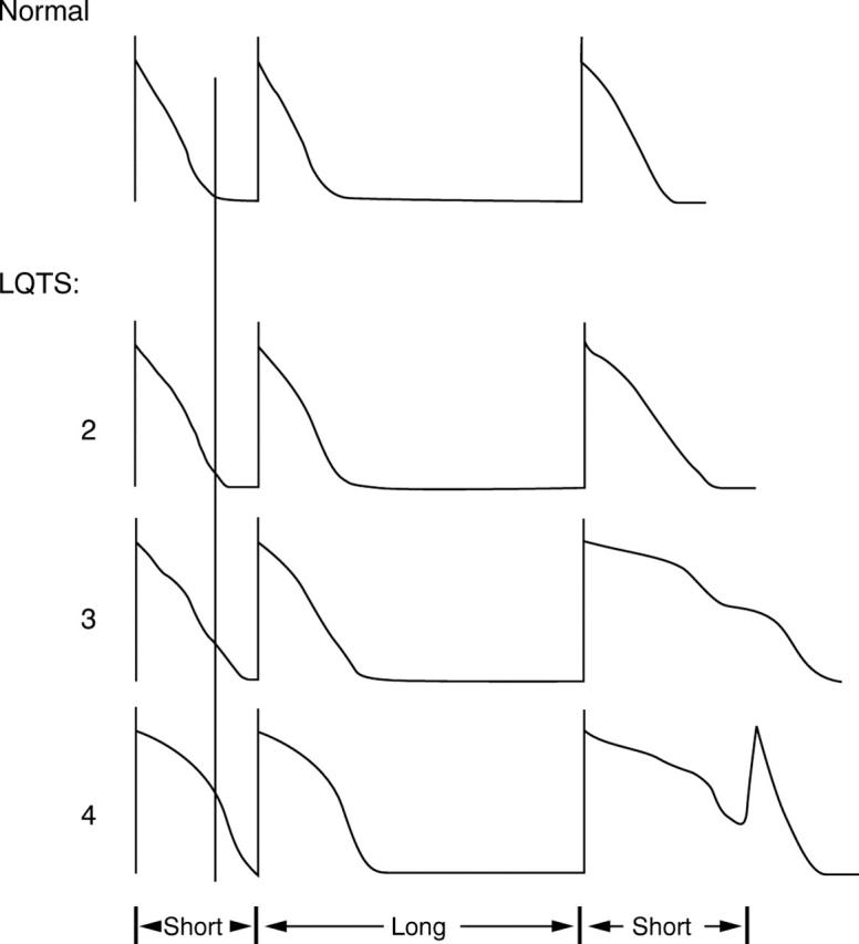 Figure 1  