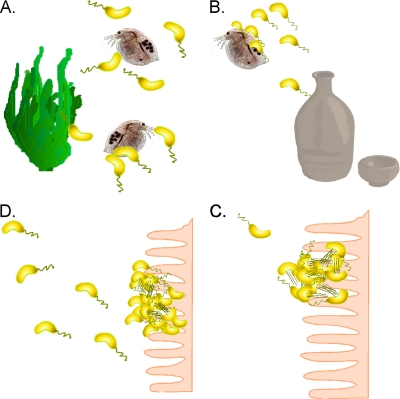 FIG. 4.