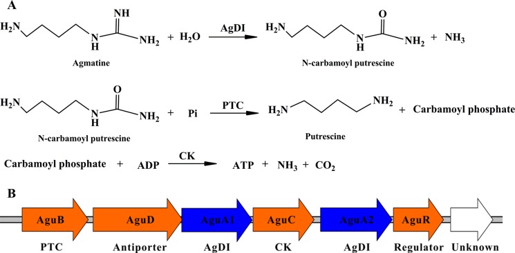 FIGURE 1.