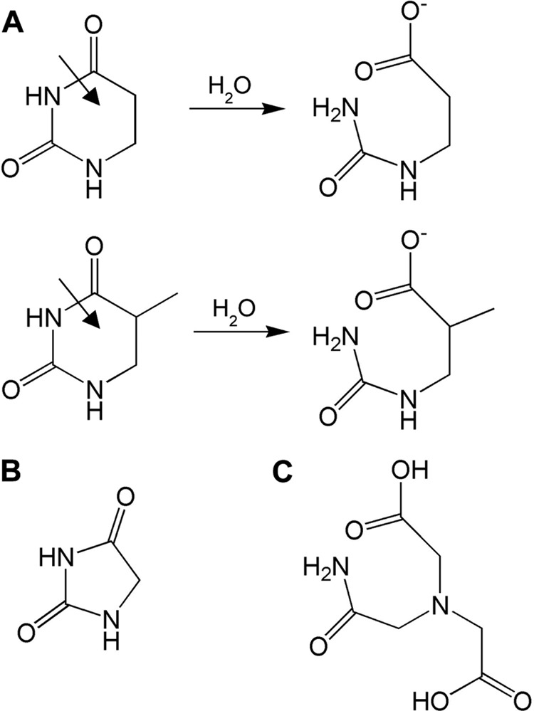 SCHEME 2.