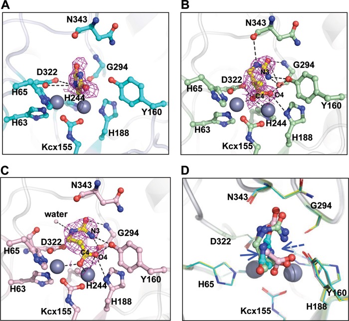 FIGURE 6.