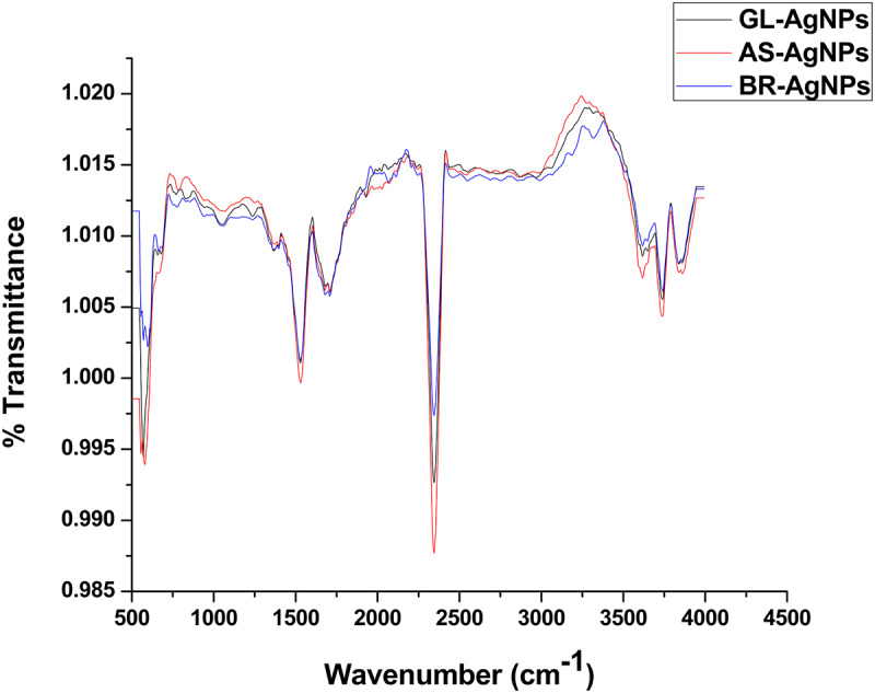 FIGURE 5