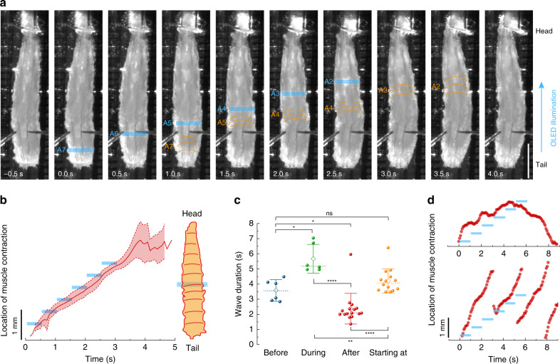 Fig. 7