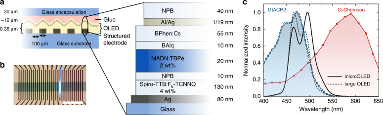 Fig. 1