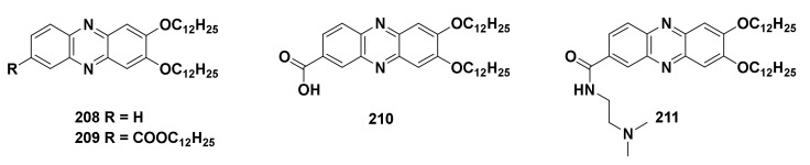 Figure 24