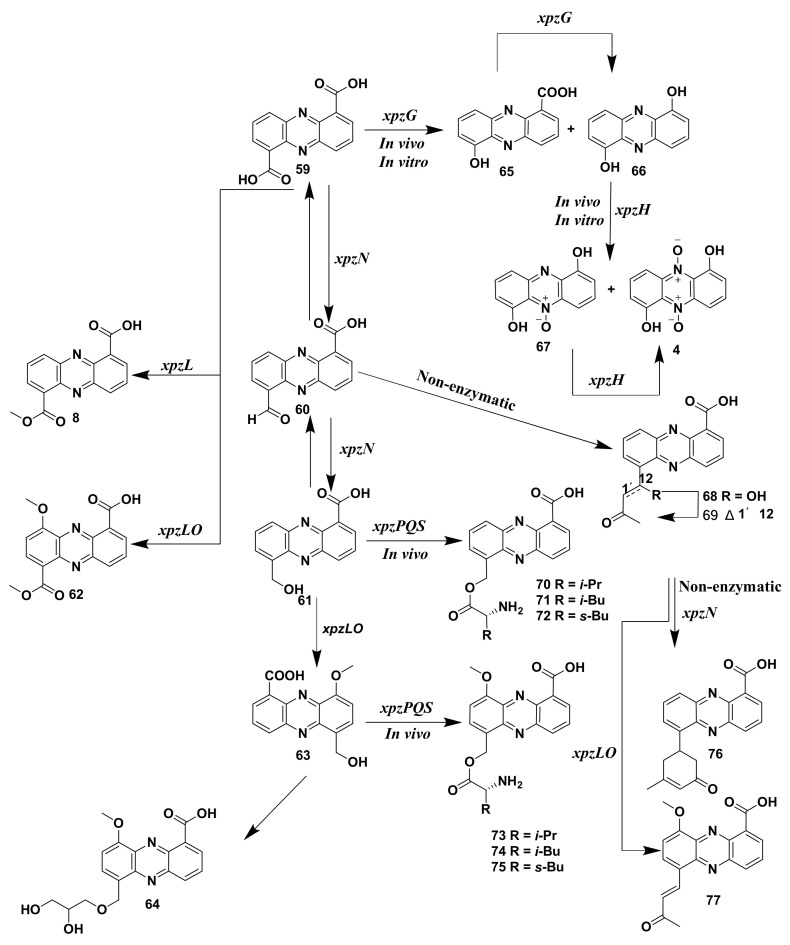 Figure 9