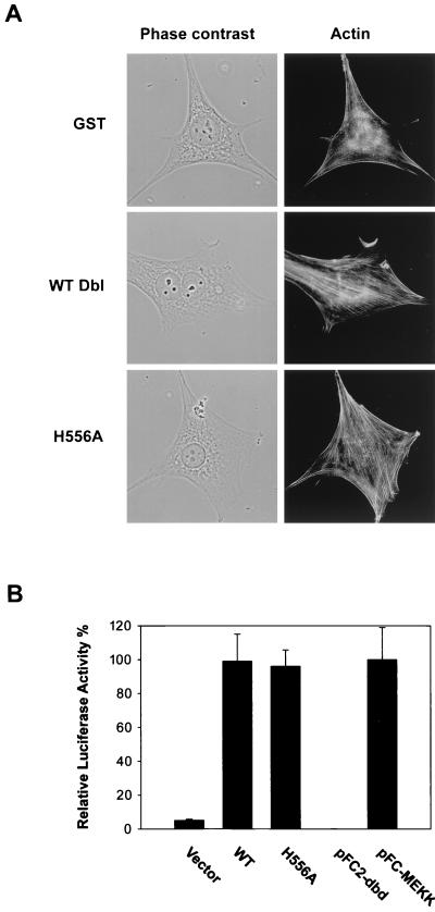 FIG. 9