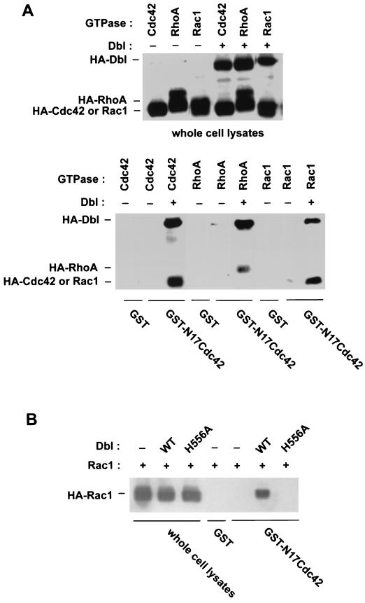 FIG. 10