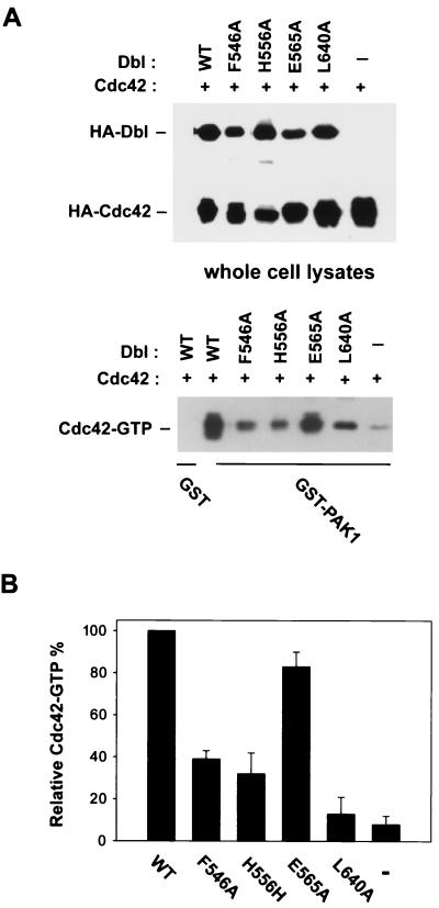 FIG. 6