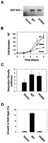 FIG. 8