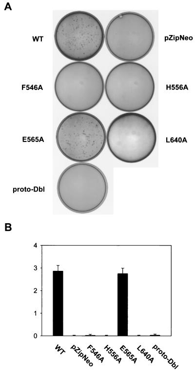 FIG. 7