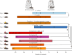 Effects of (i) prey type (chemically well-defended P. scaber woodlice or chemically less defended Tenebrio molitor beetles) and (ii) prey treatment