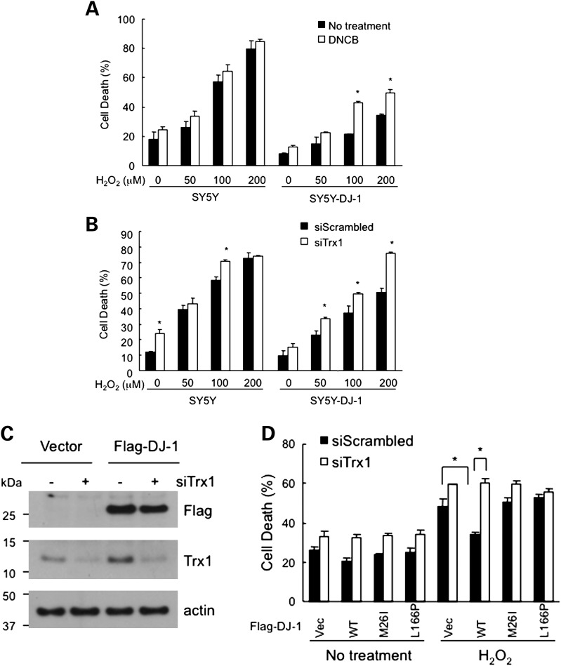 Figure 2.