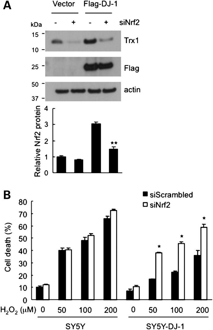 Figure 5.