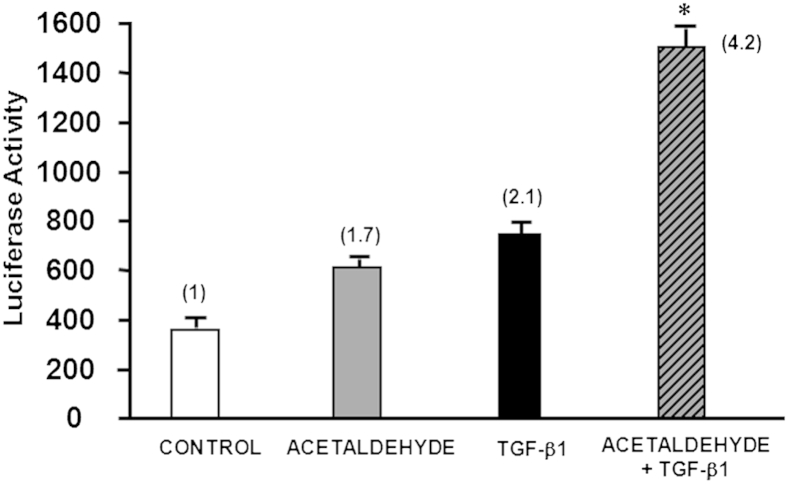 Figure 1