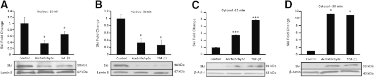 Figure 7