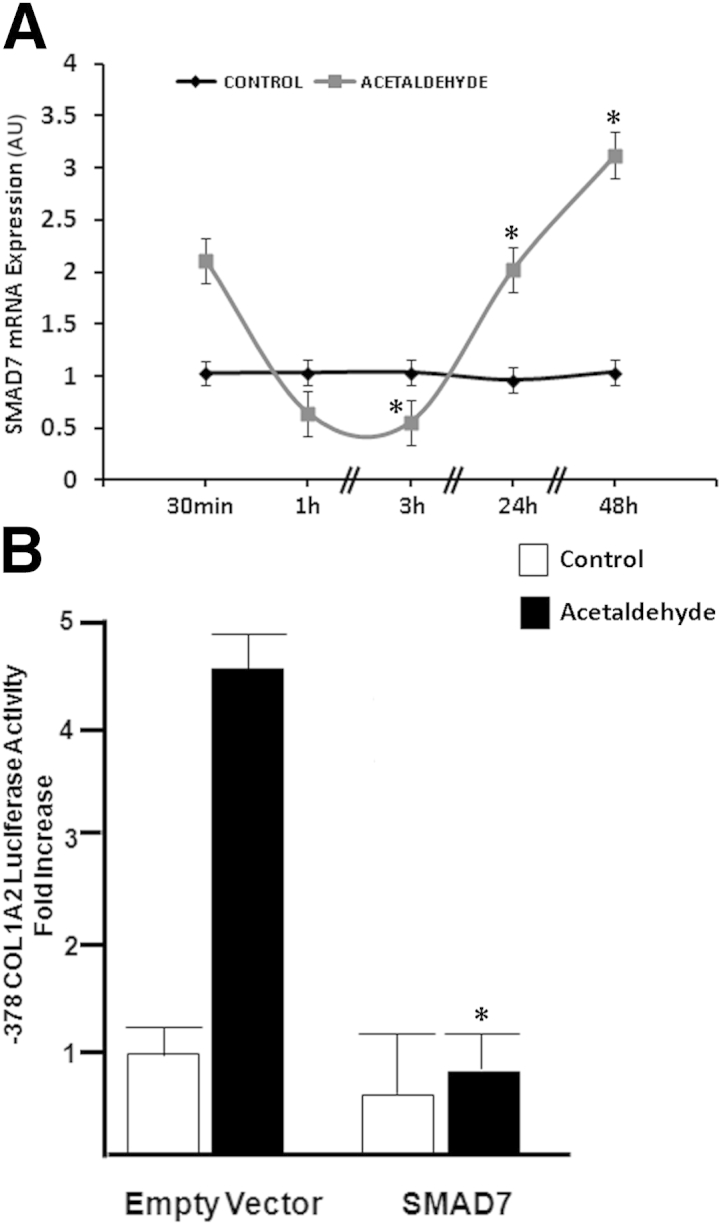 Figure 5