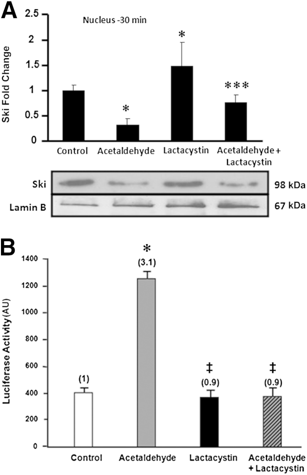 Figure 9