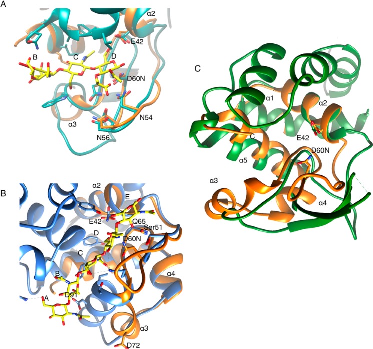 FIGURE 4.