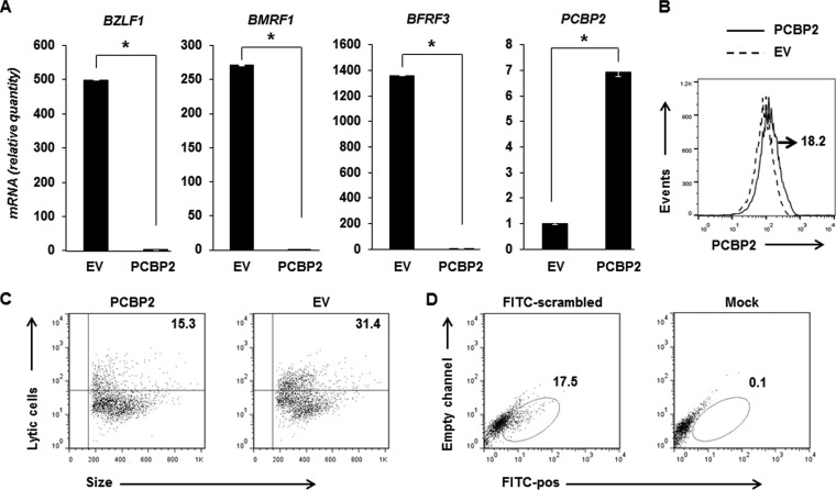 FIG 6