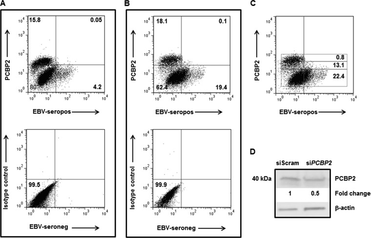 FIG 3