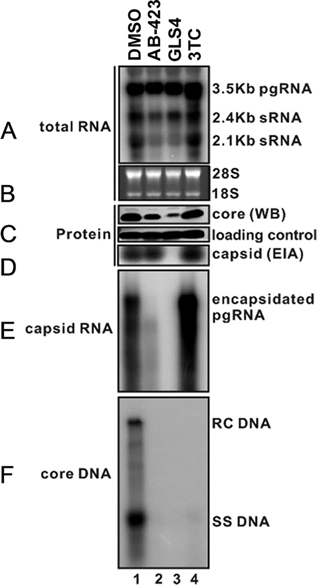 FIG 2