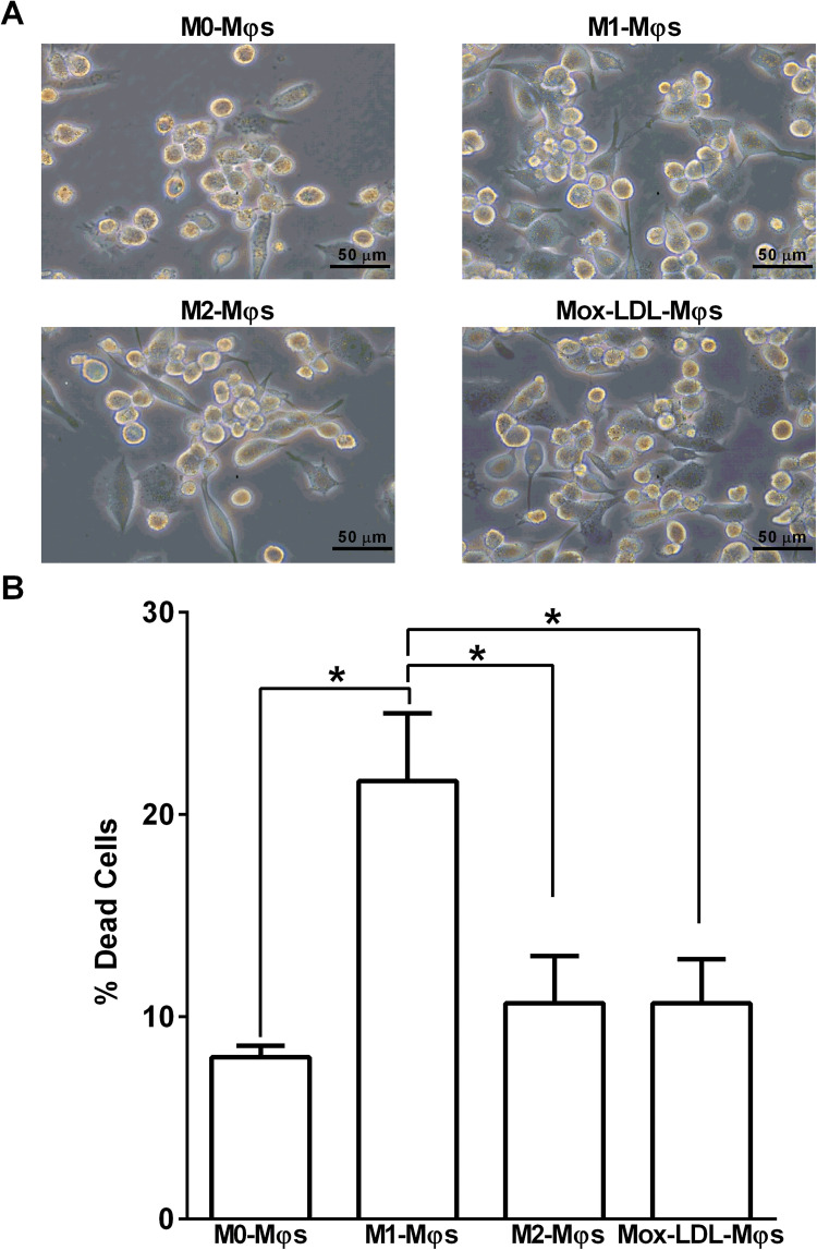 Figure 2.