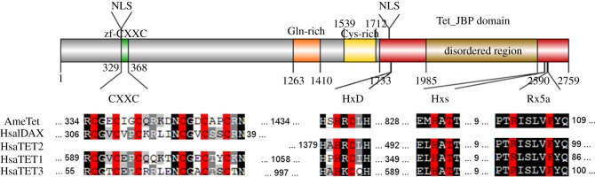 Figure 2.