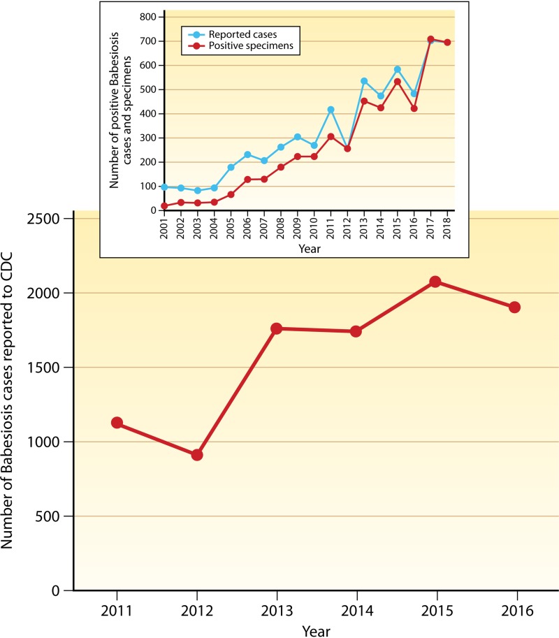 FIG 4