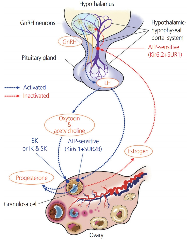 Fig. 2.