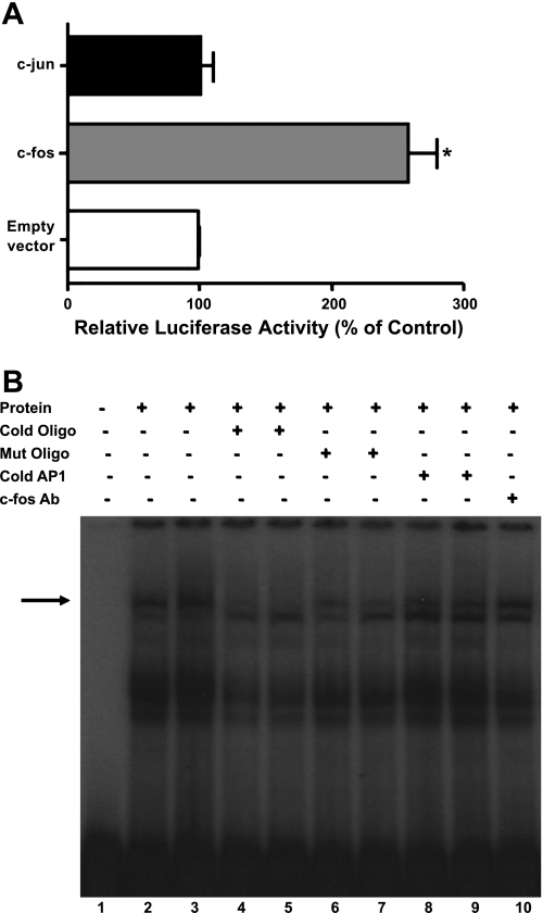 Fig. 9.