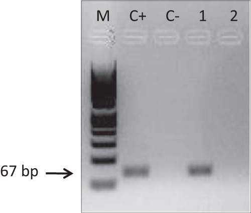 FIG 2