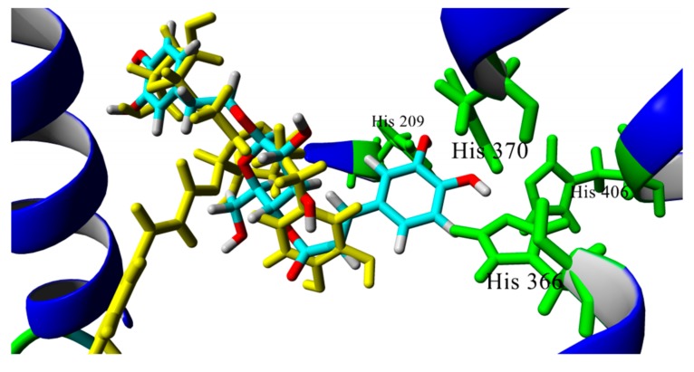 Figure 5