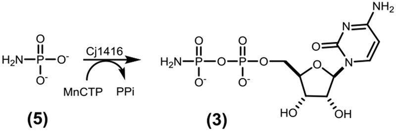 Scheme 2: