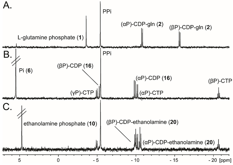 Figure 3: