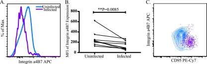 FIG. 1.