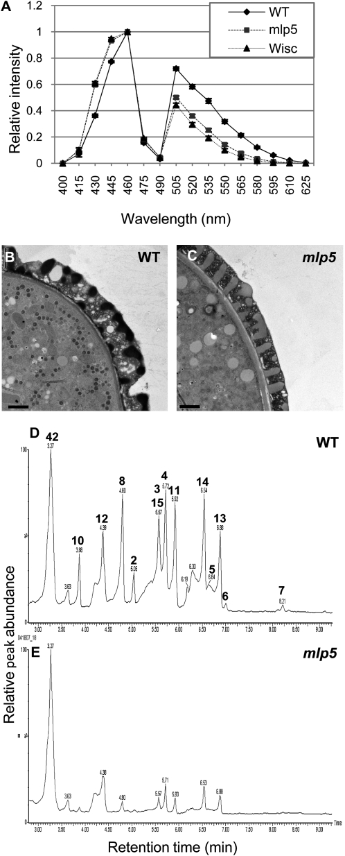 Figure 10.