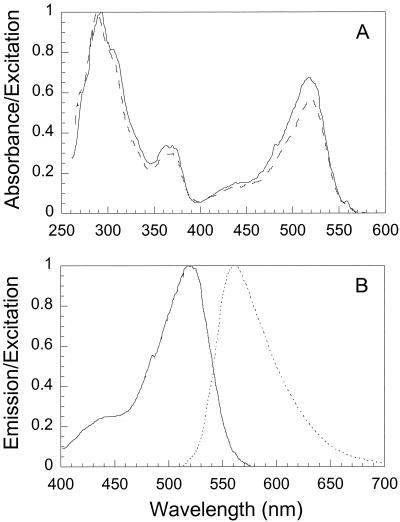 FIG. 4.